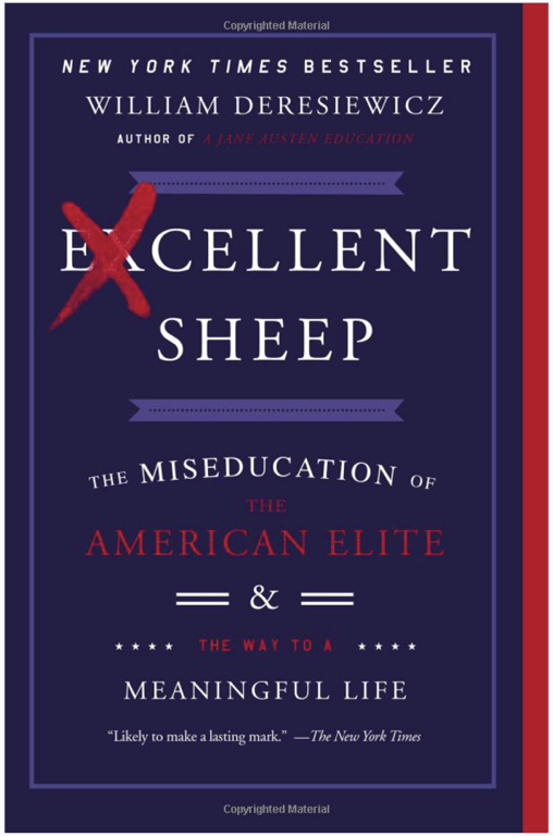 Excellent sheep